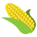 ear of maize